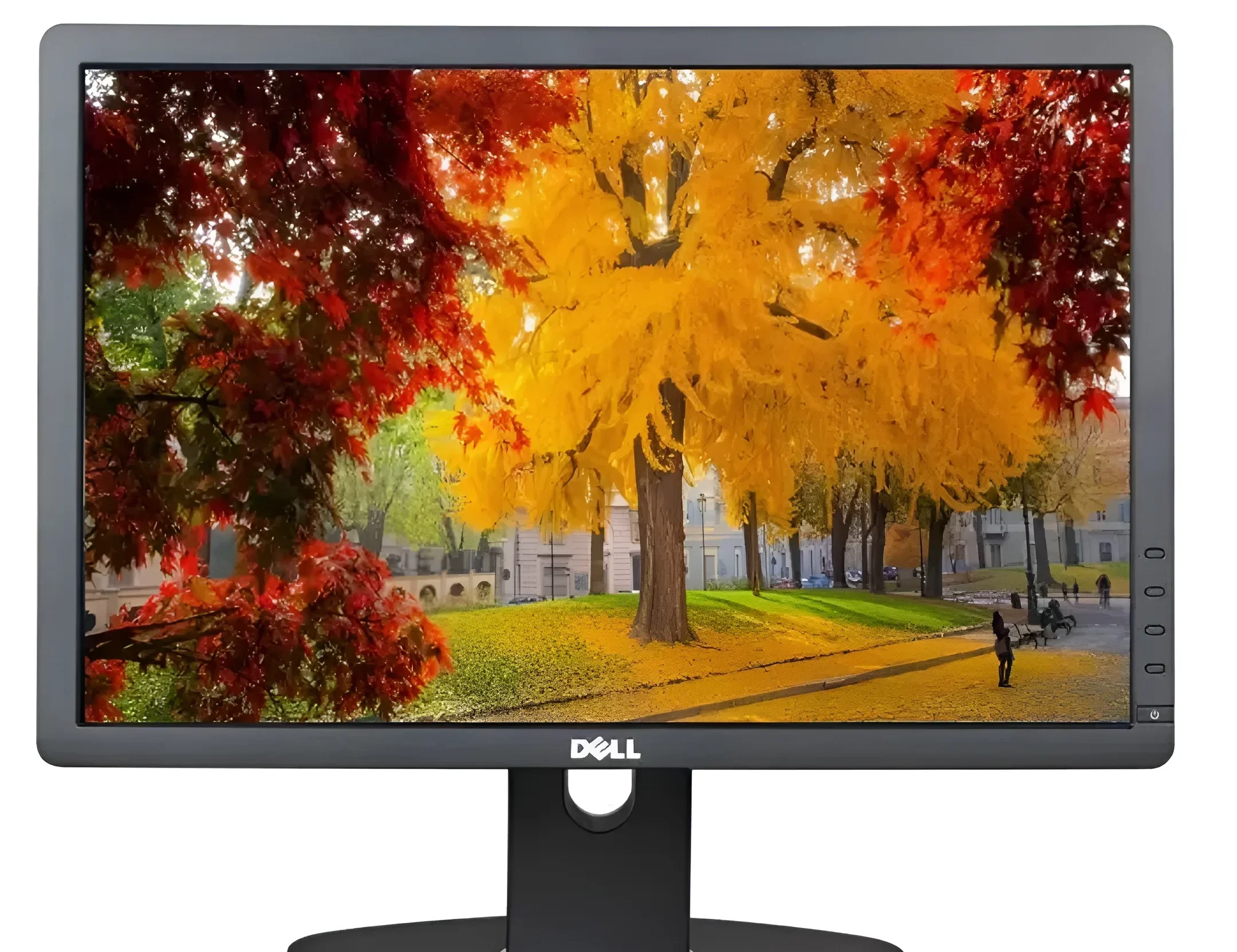 مانیتور استوک 19 اینچ دل