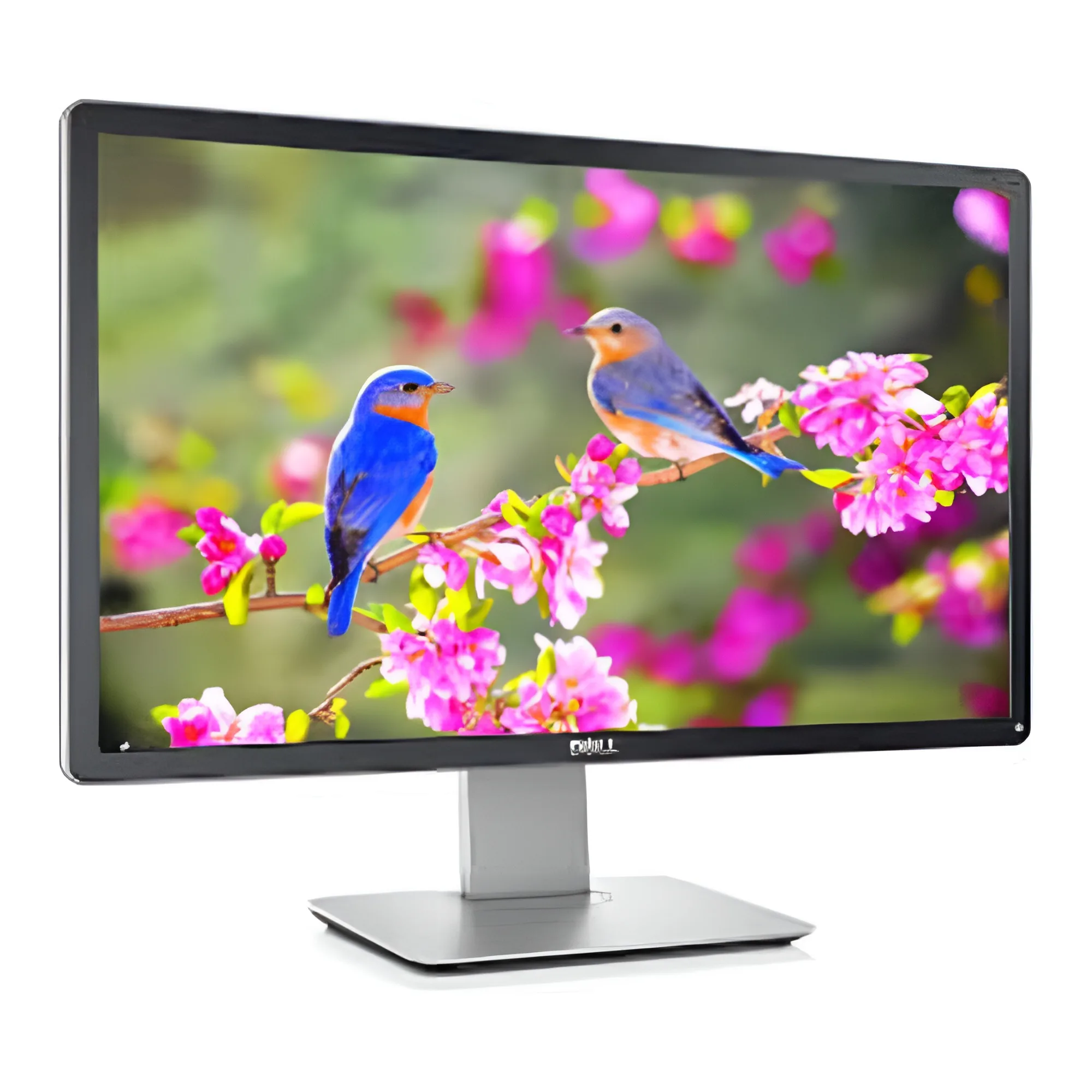 مانیتور Dell 19 اینچ با صفحه نمایش روشن و نمای جلویی